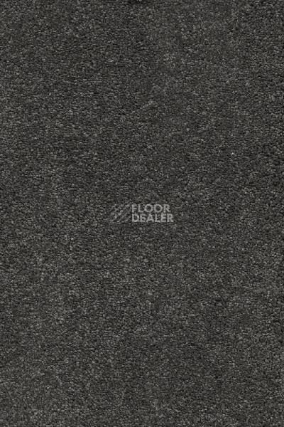 Ковролин AW Vivendi Punch 95 фото 1 | FLOORDEALER